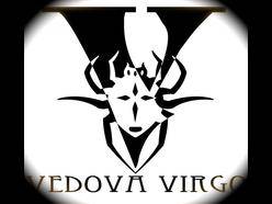 logo Vedova Virgo logo Vedova Virgo